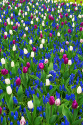 Similar image 20070075