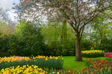 Similar image 20070076