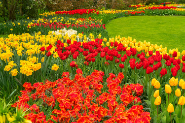 Similar image 20070077