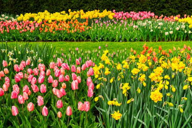 Similar image 20070078