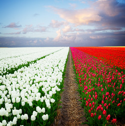 Similar image 20070083