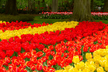 Similar image 20070085