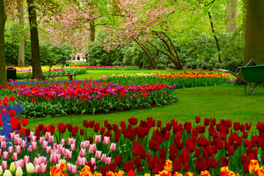 Similar image 20070086