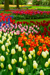 Similar image 20070087