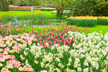 Similar image 20070088