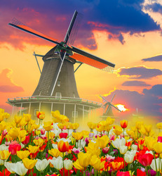 Similar image 20070100