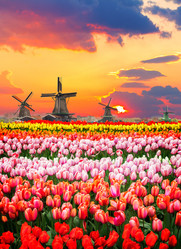 Similar image 20070101