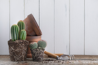 Similar image 19944778