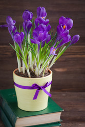 Similar image 19944793