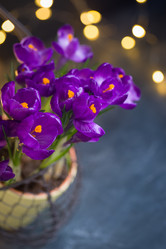 Similar image 19944795