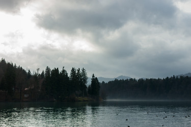 Similar image 20194115