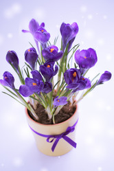 Similar image 19944596