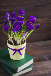 Similar image 19944610