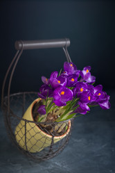 Similar image 19944611