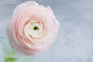 Similar image 19944612