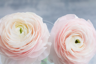 Similar image 19944613