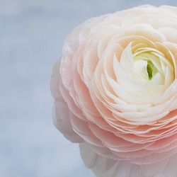 Similar image 19944626