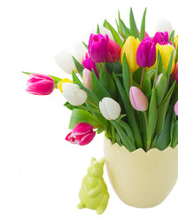 Similar image 20070123