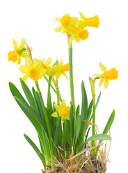 Similar image 20070131