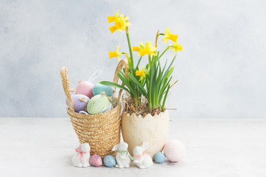 Similar image 20070132