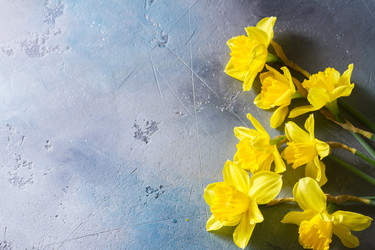 Similar image 20070137