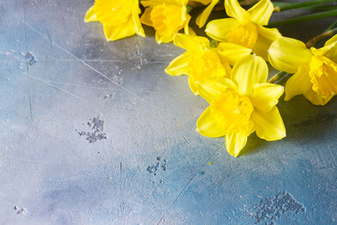 Similar image 20070138