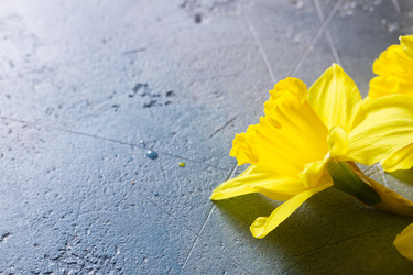 Similar image 20070139