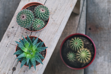 Similar image 19944602