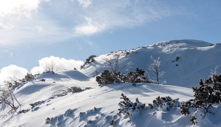 Similar image 20194145