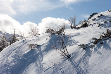 Similar image 20194159