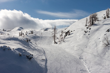 Similar image 20194161