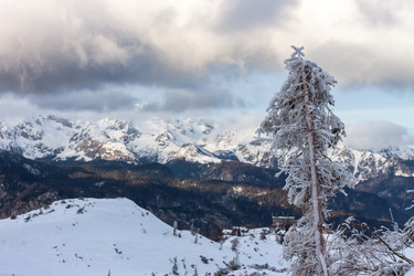 Similar image 20194182