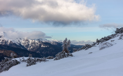 Similar image 20194184