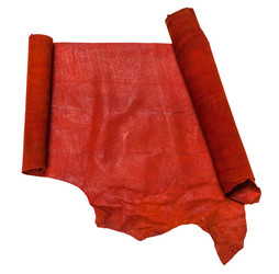 Similar image 20192913