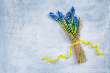 Similar image 19944939