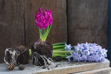 Similar image 19944941