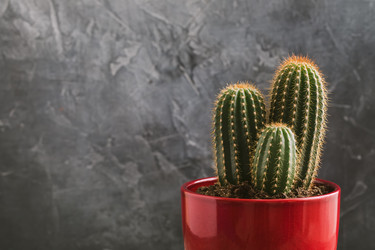 Similar image 19944943