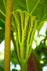 Similar image 19941196