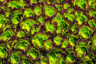 Similar image 19941218