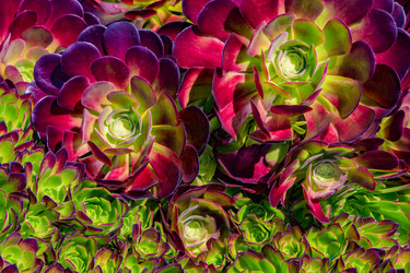 Similar image 19941220