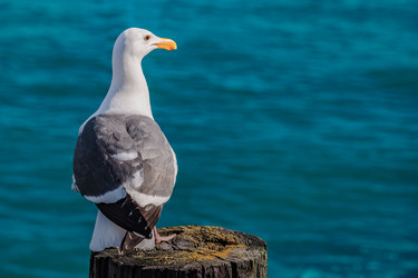 Similar image 19941198