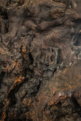 Similar image 19941222