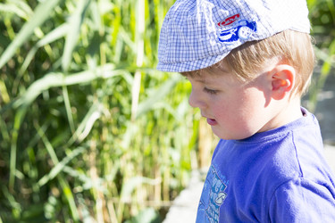 Similar image 20053463