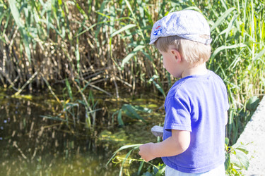 Similar image 20053464