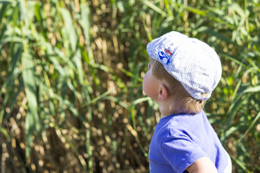 Similar image 20053465