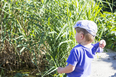 Similar image 20053471