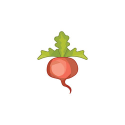 Similar image 20115955