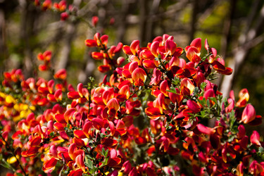 Similar image 19951234