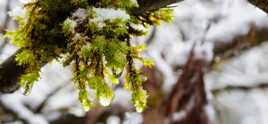 Similar image 19951243