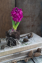 Similar image 19944984